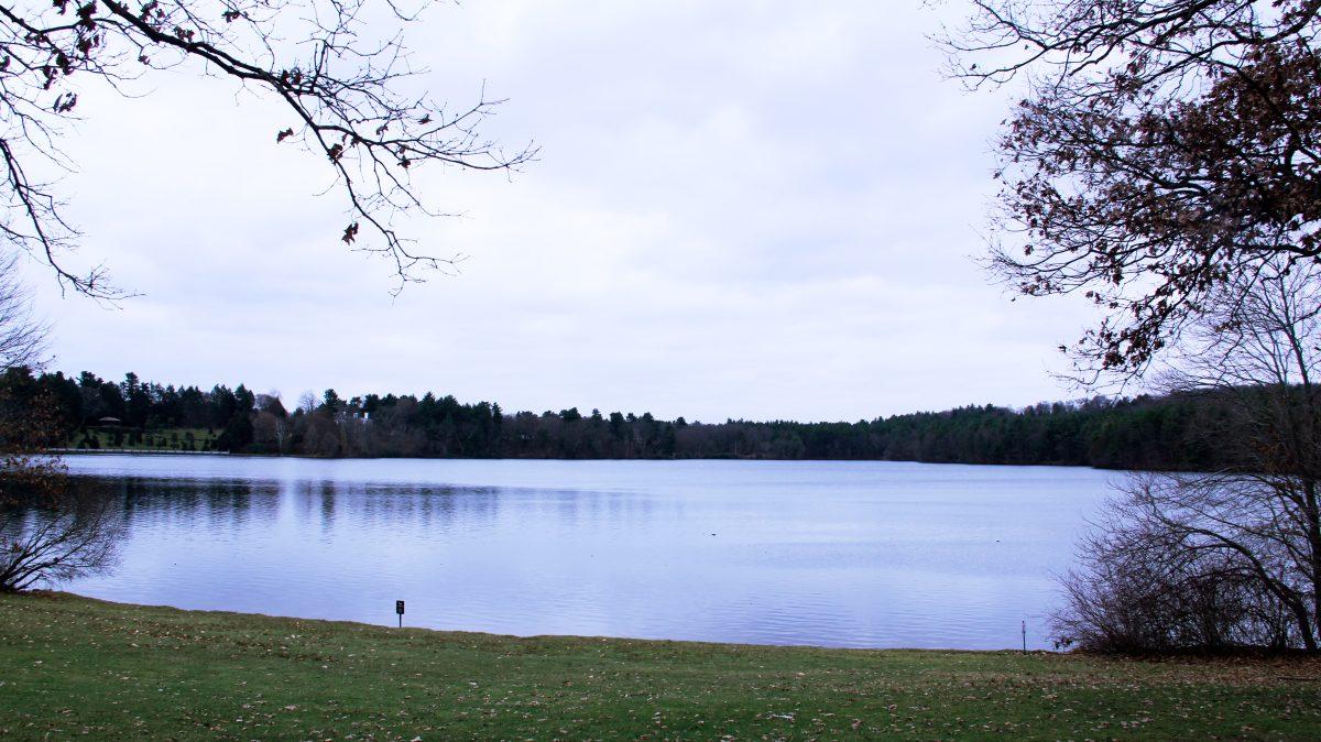 Lake Waban contains traces of lead from paint factory