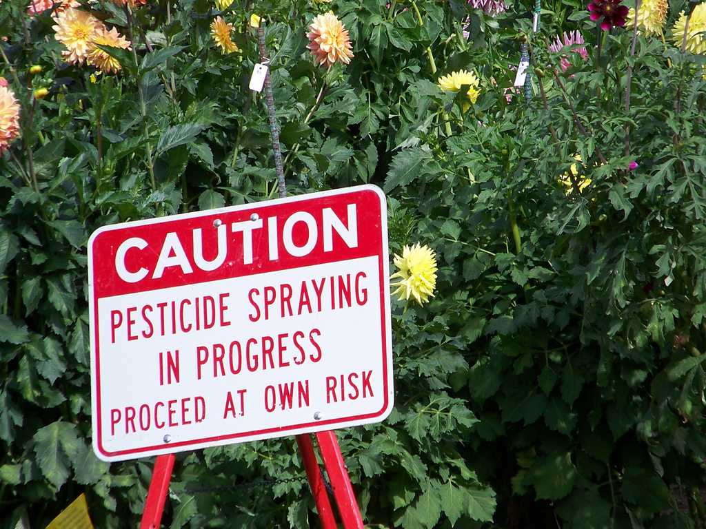 How pesticides might become a thing of the past