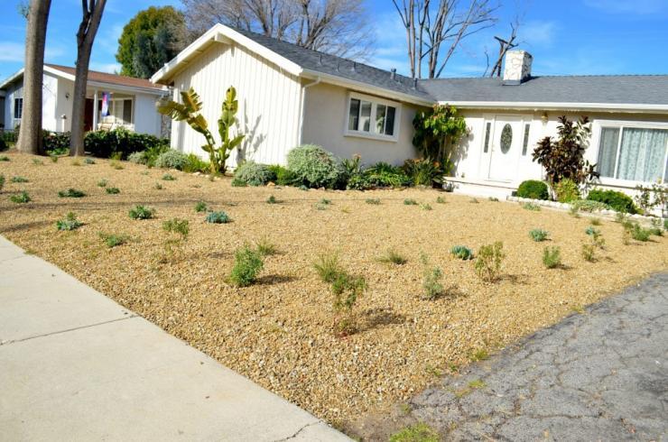 Drought deprives America of  quintessential green lawn