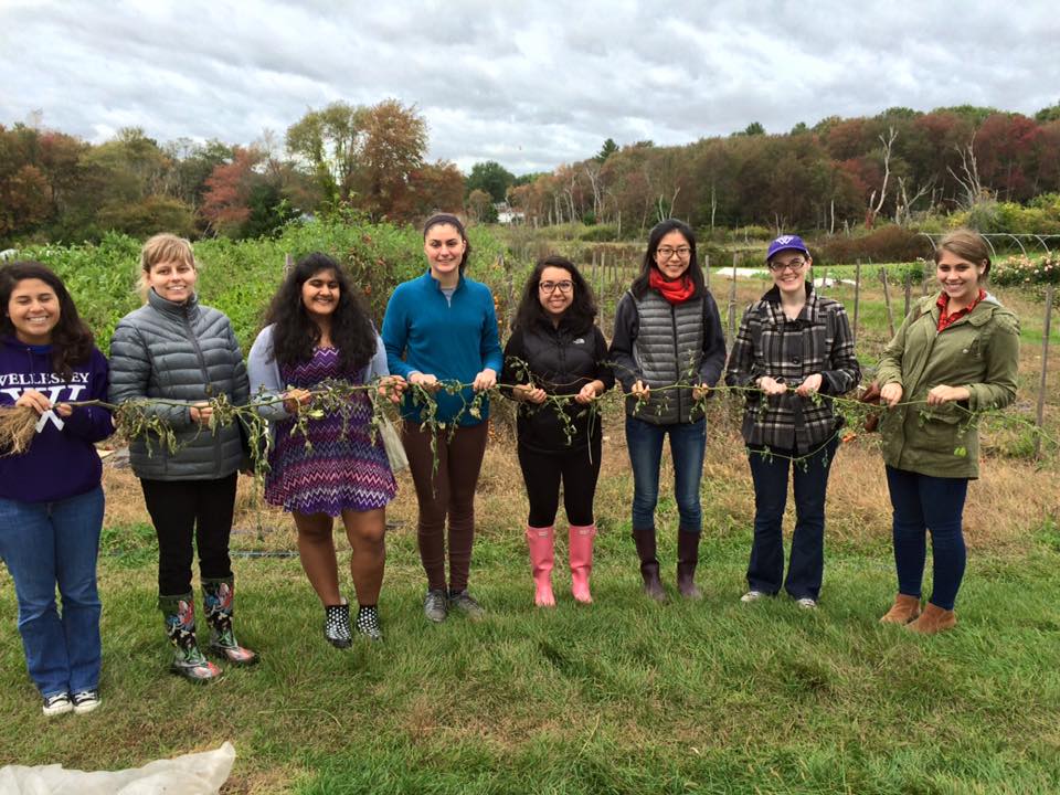 Marcy Thomas’ Environmental Science 101 lab class goes on a field trip to Medway Community Farm in Natick. Photo courtesy of Brittany Overshiner