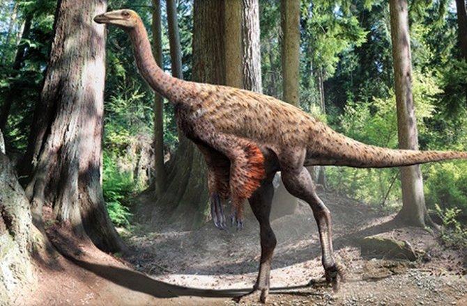 Illustration of dinosaur with feathers. | Courtesy of Discovery News.