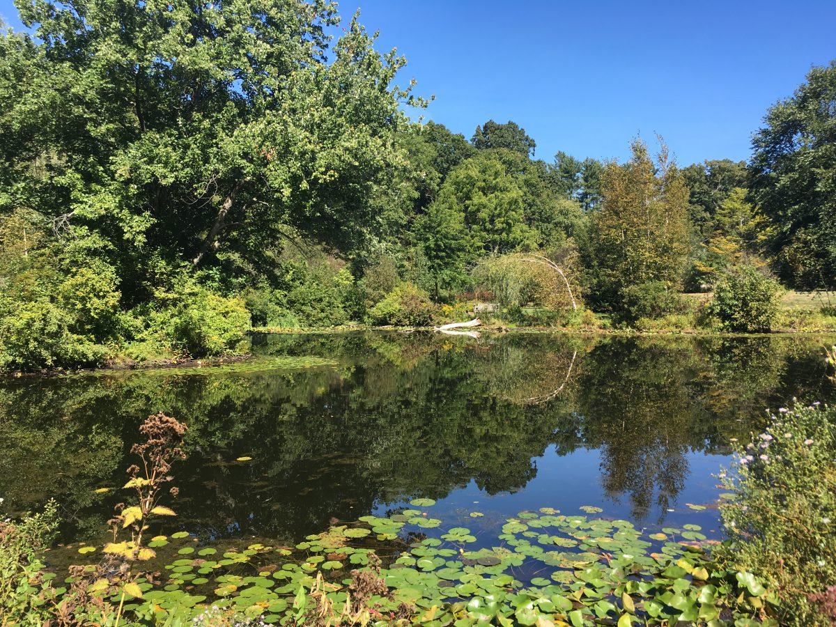 Paramecium Pond offers students a view of nature while passing the science
center. | Photo by Kaly Chin'17 