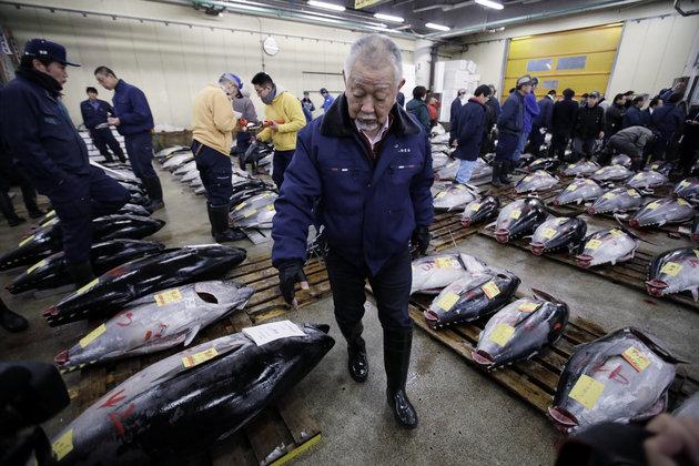 Tsukiji fish market in Tokyo, Japan. | Courtesy of The Huffington Post