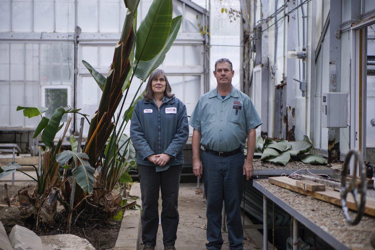 Two of three greenhouse workers, Tricia Diggins and David Sommers, are at risk of losing their job
Photo by Lien Dao '20, Photo Editor