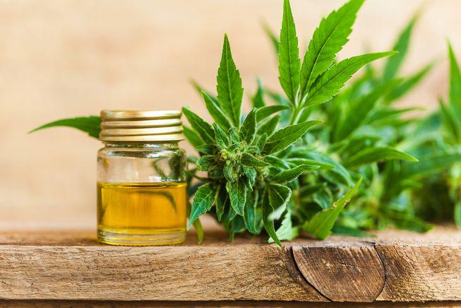 CBD oil is all the rage despite ambiguous legal status