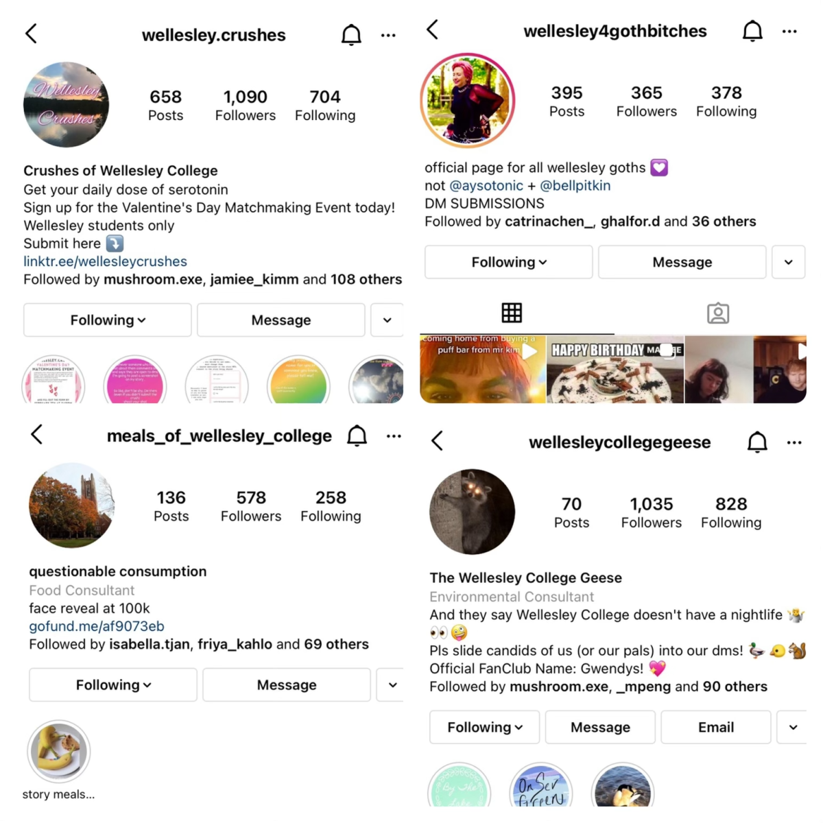 Four of the Instagram pages run by Wellesley students.