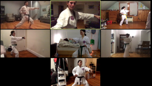 screenshot of Karate Club members at Zoom practice