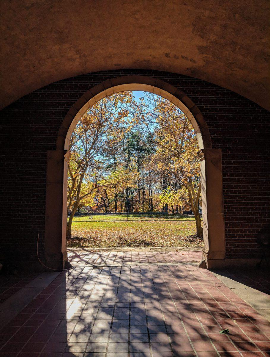 Photo courtesy of Isabella Garcia '22.