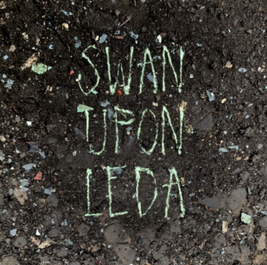 The Sound of Solidarity in Hozier’s Latest Single “Swan Upon Leda”