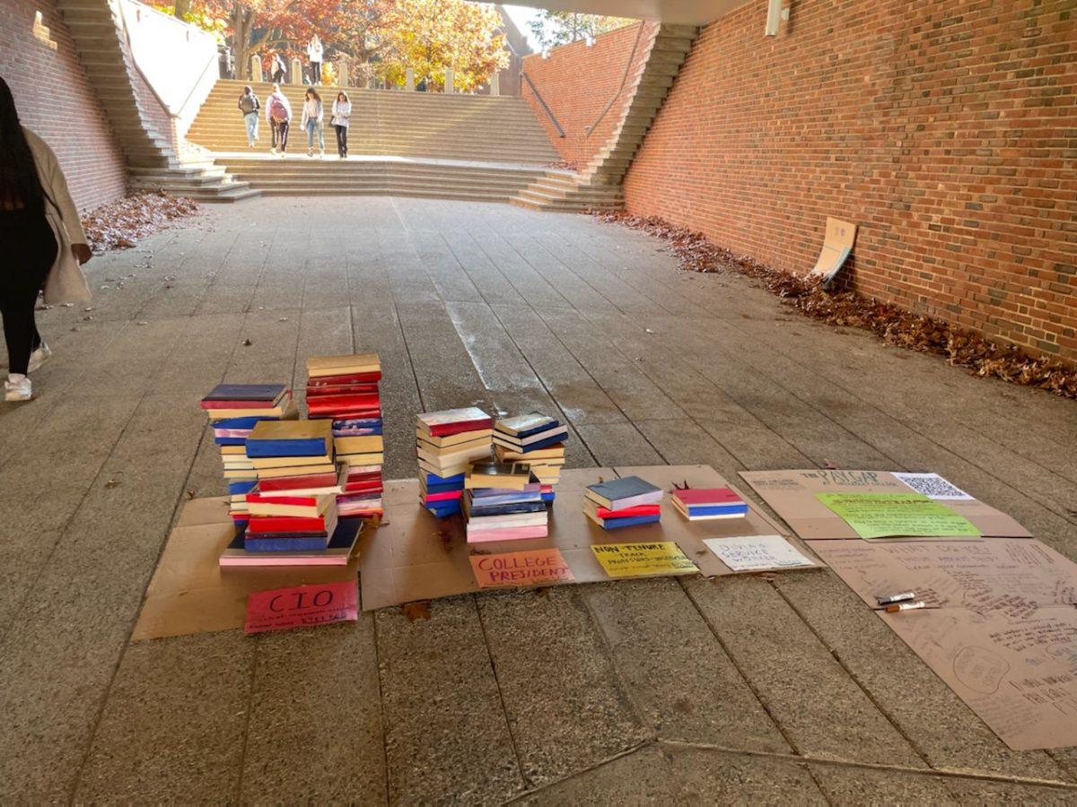 Photo of installation at Davis Plaza

Photo courtesy of Sazma Sarwar