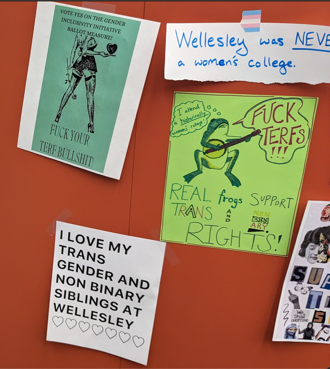 Four posters on a wall. The first reads "Vote yes on the Gender Inclusivity Initiative Ballot Measure. Fuck your TERF Bullshit." The second reads "I love my transgender and nonbinary siblings at Wellesley." The third reads "Wellesley was never a women's college. The 4th reads "Real frogs support trans and nonbinary rights" It includes a frug saying "Fuck TERFs" with a thought bubble "I attend a historically women's college" The word historically is underlined