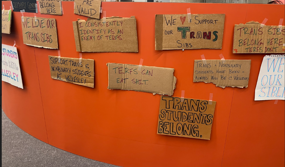 Multiple cardboard signs with pro-trans rights slogans