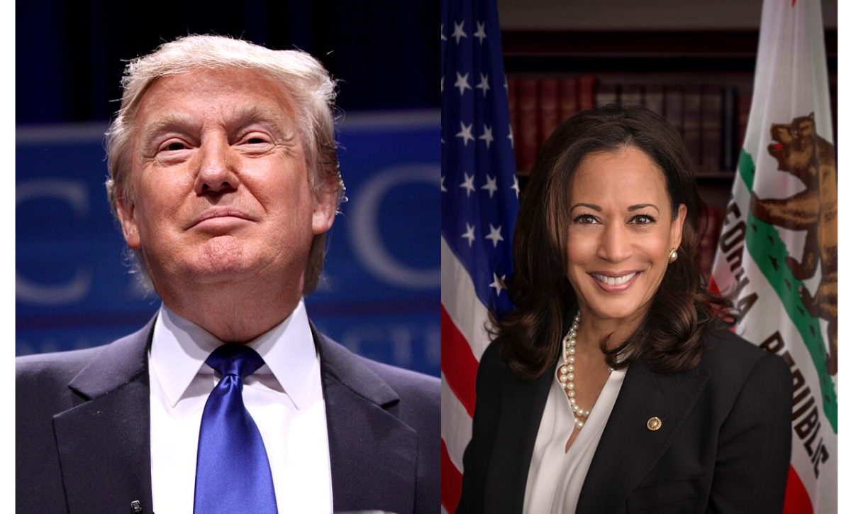 Donald Trump (photo credits Gage Skidmore) and Kamala Harris (photo credits office of Kamala Harris)