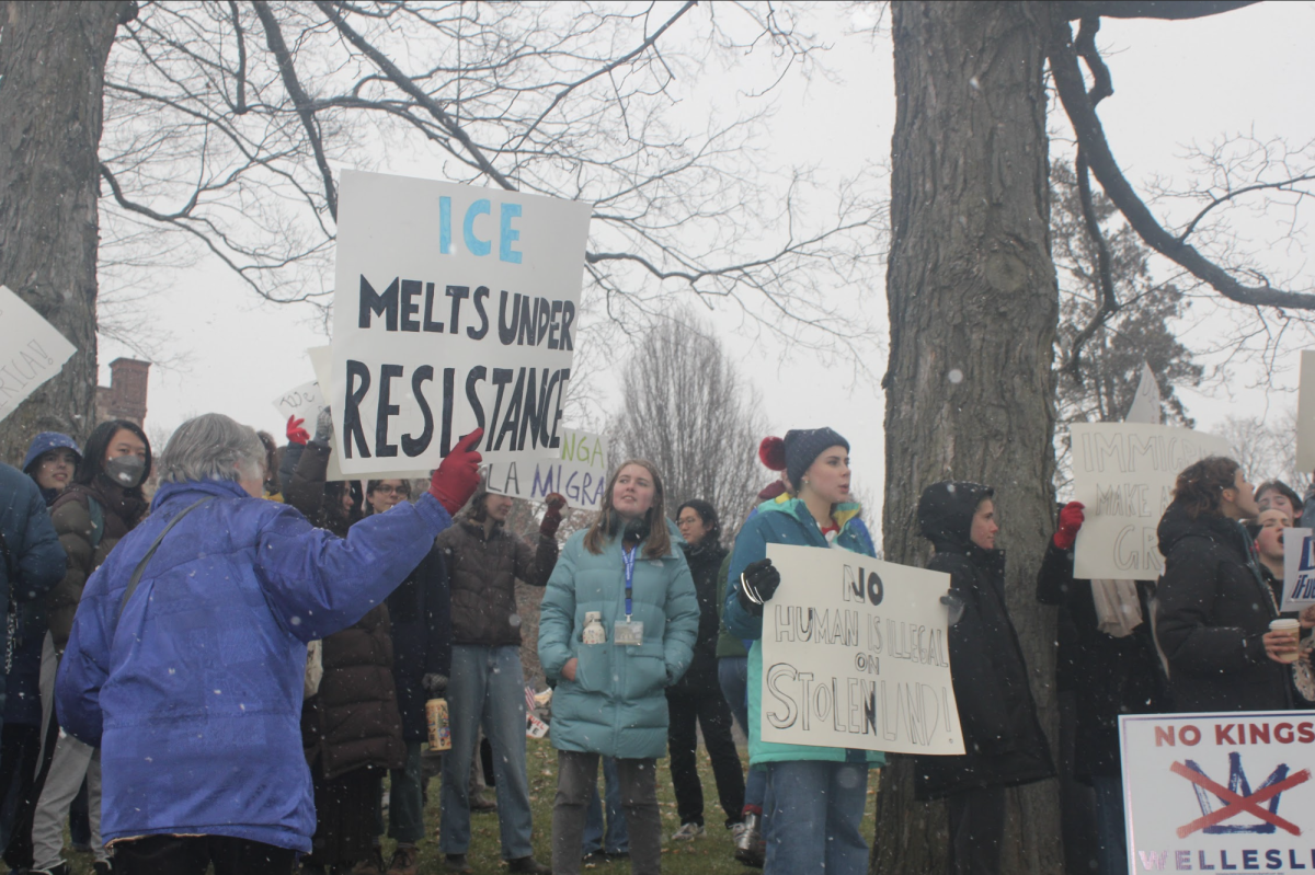 Community members gather in the snowfall outside Wellesley Town Hall, holding signs protesting against the deportation of Babson freshman
